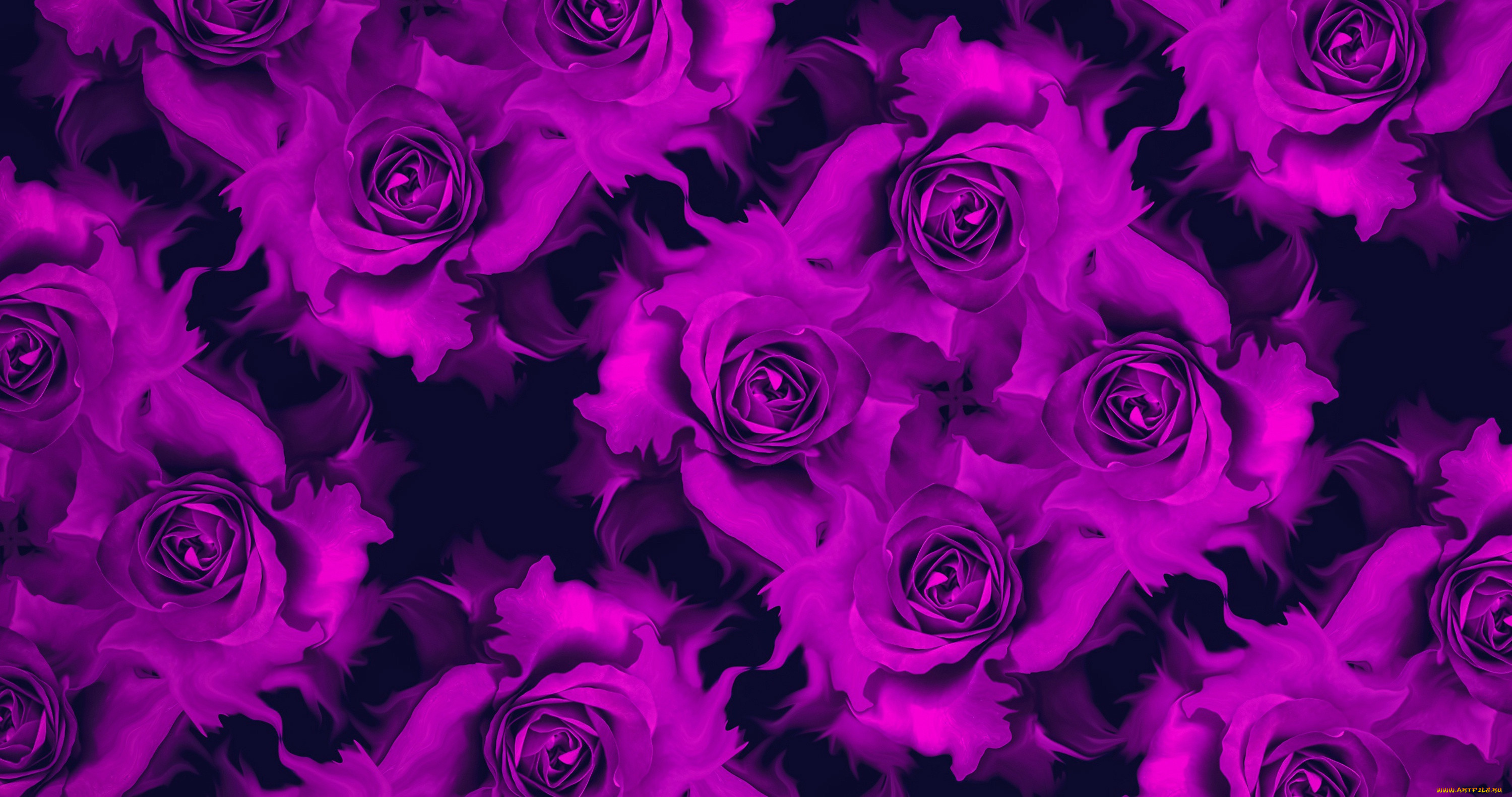 ������, ������������ ������, ����, �����, �����, ��������, ���������, ������